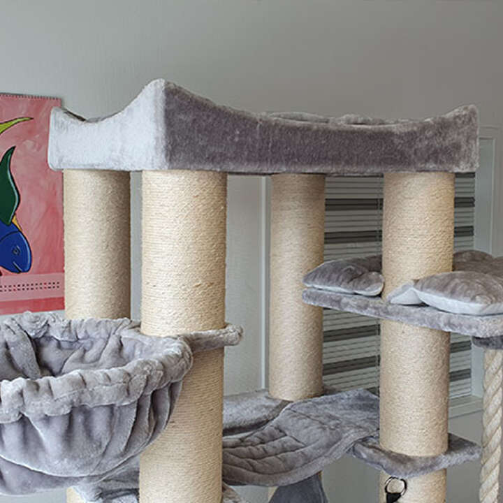 Nobby Kratzbaum Rubi